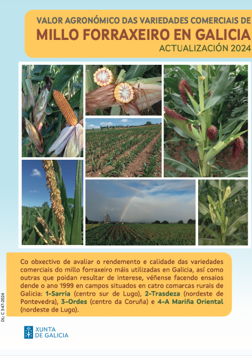 Valor agronómico das variedades comerciais de millo forraxeiro en Galicia. Actualización 2024